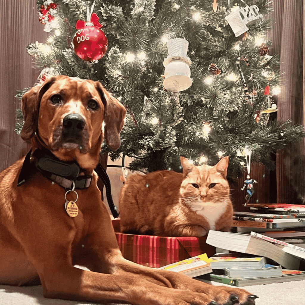 Willow, a brown dog, and Pumpkin, an orange-and-white cat, relaxing together beneath a decorated Christmas tree.