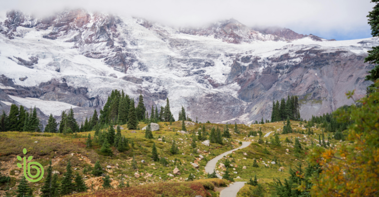 Mountain hiking trail leading toward a glacier-covered peak, symbolizing the beginning of a financial journey.