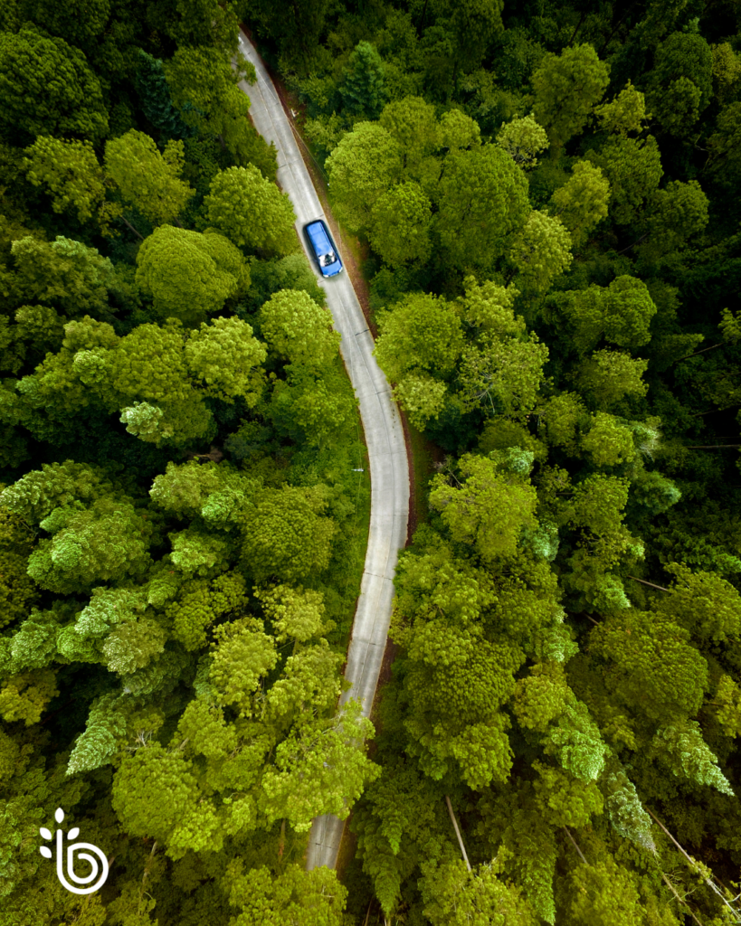 Navigate the road to retirement with Being Financial in our Retirement Red Zone Seminar Series
